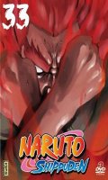 Naruto shippuden Vol.33