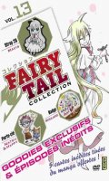 Fairy Tail collection Vol.13