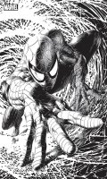 Spiderman (v6) T.9 - collector