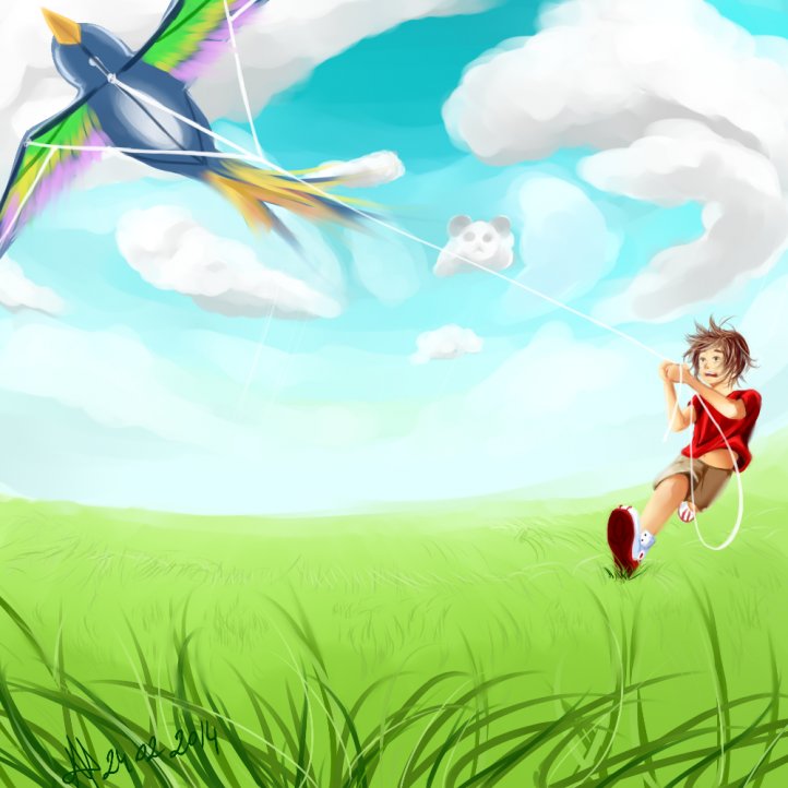 Fly a kite